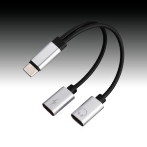 Usb C Plug To Dual Usb C Female Adapter